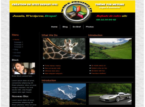 Thème wordpress société